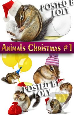 Животные на Рождество 2014 #1 - Растровый клипарт