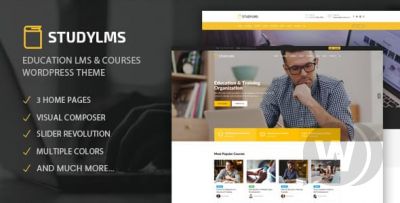 Studylms v1.6 - шаблон онлайн-курсов для WordPress