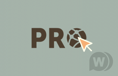 Pro Sites v3.6.1 - плагин управления сетью сайтов WordPress