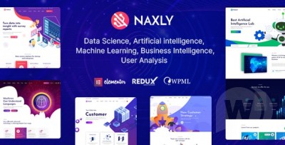 Naxly v1.1 - тема WordPress для анализа данных и аналитики